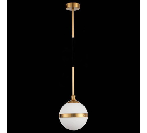 Подвесной светильник ST-Luce Arbe SL1157.303.01