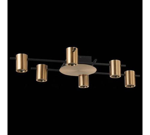 Потолочная люстра ST-Luce Veroli SL1207.402.06