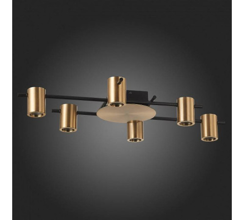 Потолочная люстра ST-Luce Veroli SL1207.402.06