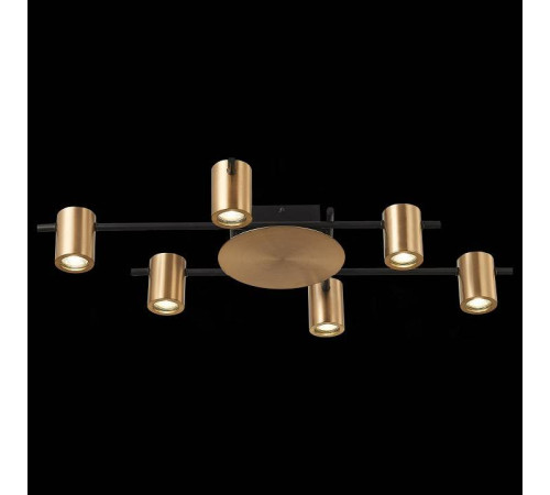 Потолочная люстра ST-Luce Veroli SL1207.402.06