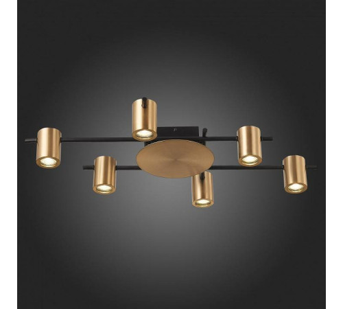 Потолочная люстра ST-Luce Veroli SL1207.402.06