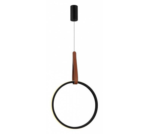 Подвесной светильник ST-Luce Shape SL6131.403.20