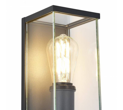 Накладной светильник ST-Luce Gross SL9019.701.01