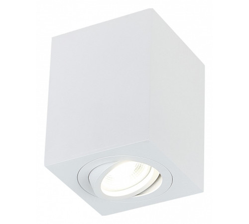 Накладной светильник SIMPLE STORY 2038 2038-1CLW