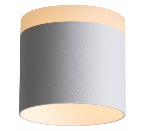 Накладной светильник ST-Luce Panaggio ST102.502.12