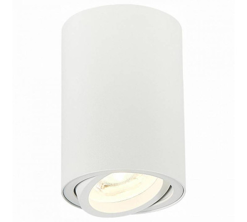 Спот ST-Luce Torus ST108.507.01