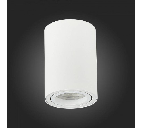 Спот ST-Luce Torus ST108.507.01