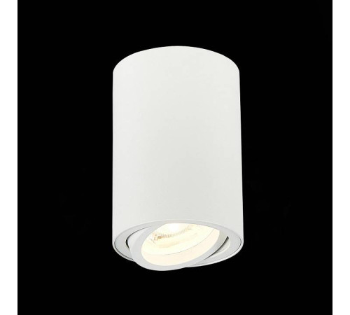 Спот ST-Luce Torus ST108.507.01