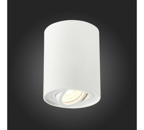 Спот ST-Luce Torus ST108.517.01