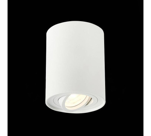 Спот ST-Luce Torus ST108.517.01