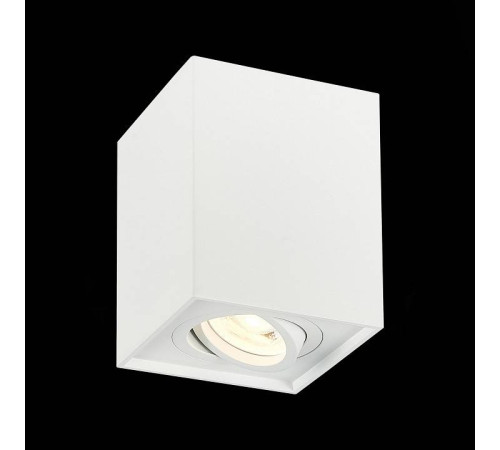 Спот ST-Luce Quadrus ST109.507.01