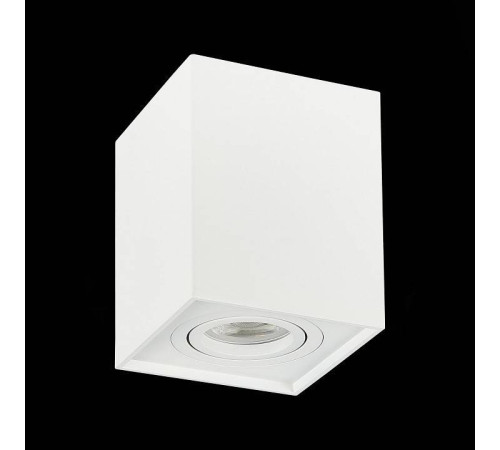 Спот ST-Luce Quadrus ST109.507.01