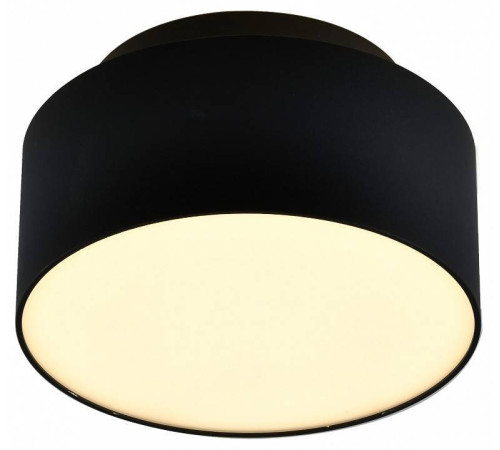 Накладной светильник ST-Luce ST166 ST166.442.17