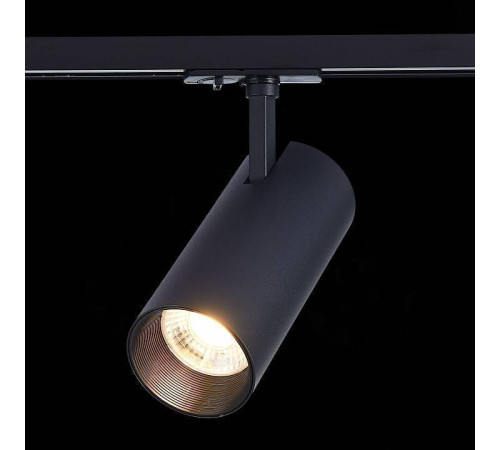 Светильник на штанге ST-Luce Mono ST350.436.30.24