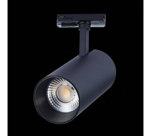 Светильник на штанге ST-Luce Mono ST350.436.30.24