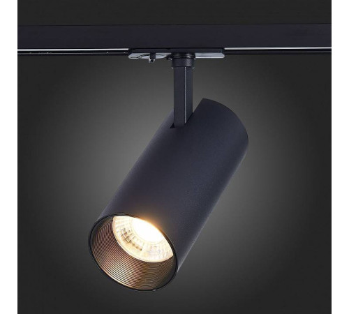 Светильник на штанге ST-Luce Mono ST350.436.30.24