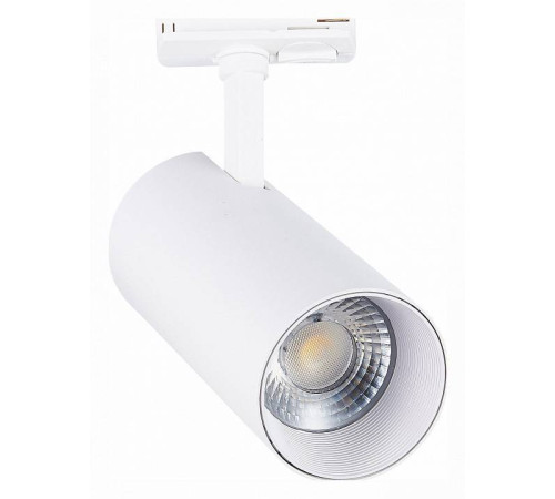 Светильник на штанге ST-Luce Mono ST350.546.30.24