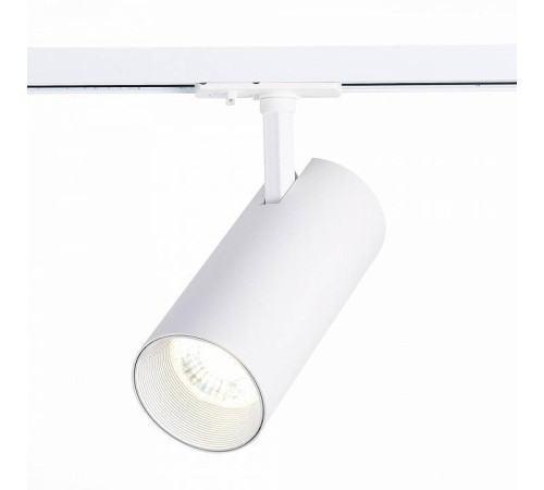 Светильник на штанге ST-Luce Mono ST350.546.30.24