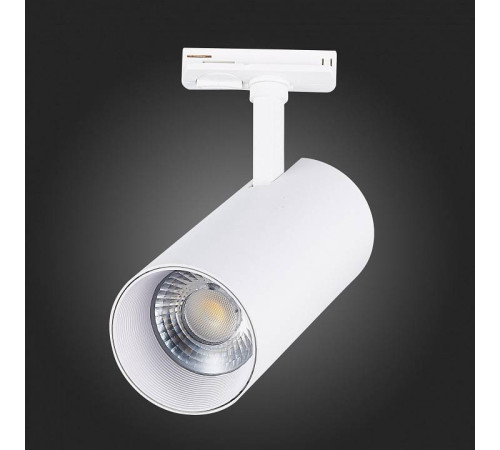 Светильник на штанге ST-Luce Mono ST350.546.30.24