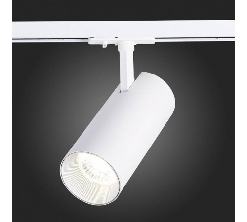 Светильник на штанге ST-Luce Mono ST350.546.30.24