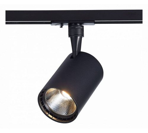 Светильник на штанге ST-Luce Cami ST351.436.30.36