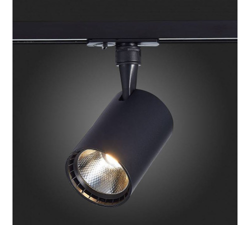 Светильник на штанге ST-Luce Cami ST351.436.30.36