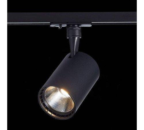 Светильник на штанге ST-Luce Cami ST351.436.30.36