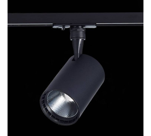 Светильник на штанге ST-Luce Cami ST351.436.30.36