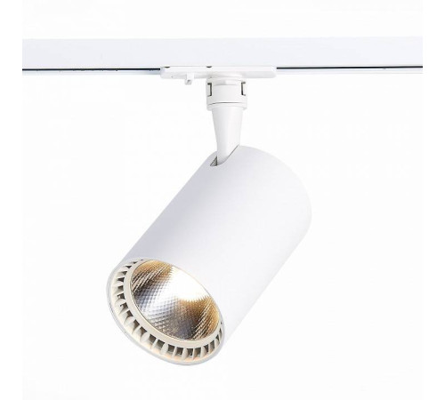 Светильник на штанге ST-Luce Cami ST351.536.30.24