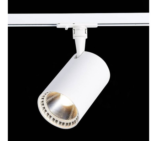 Светильник на штанге ST-Luce Cami ST351.536.30.24