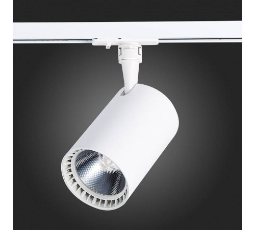 Светильник на штанге ST-Luce Cami ST351.536.30.24