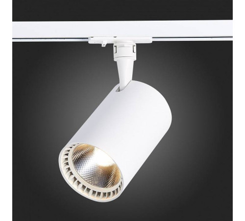 Светильник на штанге ST-Luce Cami ST351.536.30.24