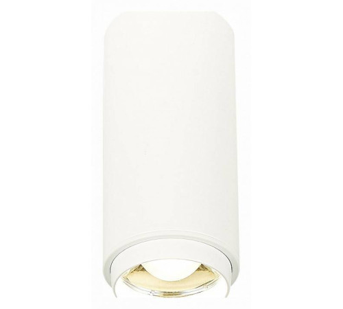 Накладной светильник ST-Luce Zoom ST600.542.10