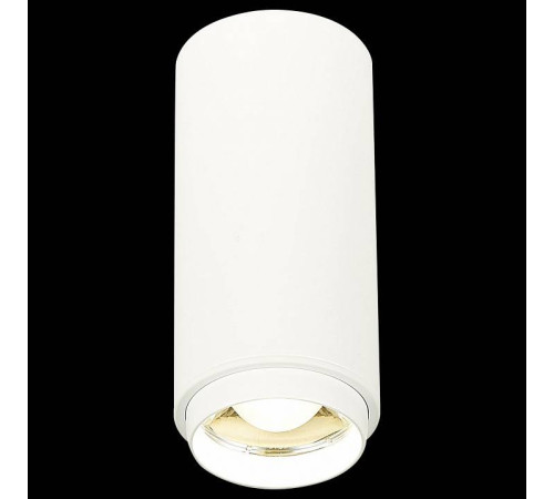 Накладной светильник ST-Luce Zoom ST600.542.10