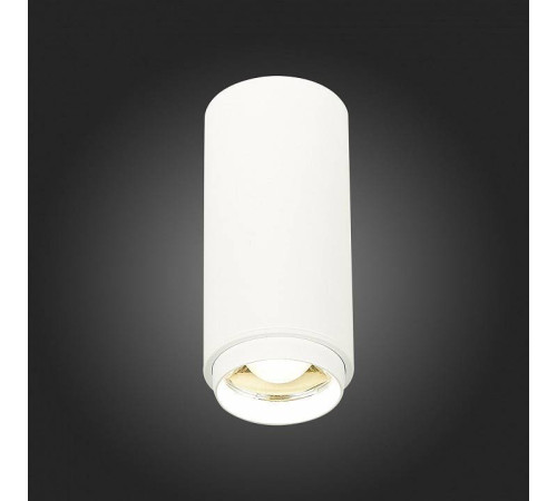 Накладной светильник ST-Luce Zoom ST600.542.10