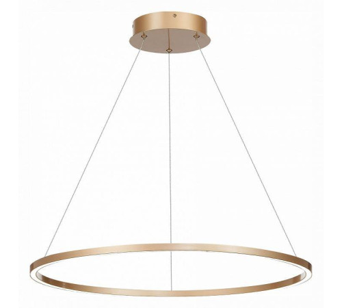 Подвесной светильник ST Luce ST605 DOWN LED 24 Вт ST605.243.34