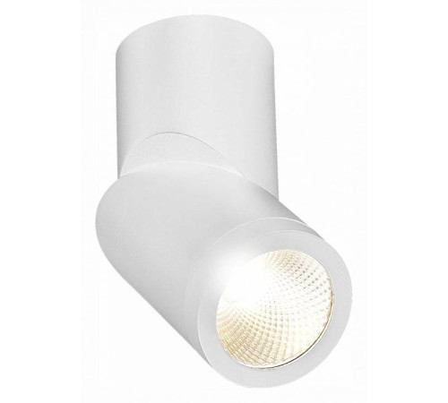 Светильник на штанге ST-Luce ST650 ST650.532.10