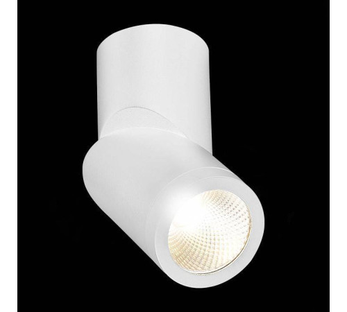 Светильник на штанге ST-Luce ST650 ST650.532.10