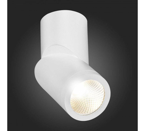 Светильник на штанге ST-Luce ST650 ST650.532.10