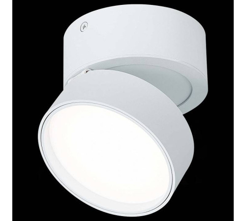 Накладной светильник ST-Luce ST651 ST651.542.14