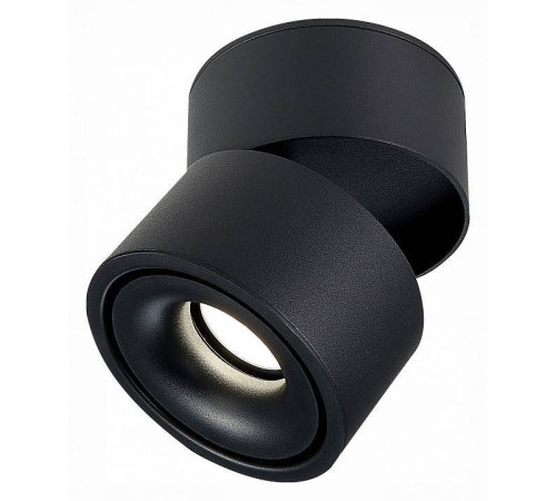 Светильник на штанге ST-Luce ST652 ST652.442.12