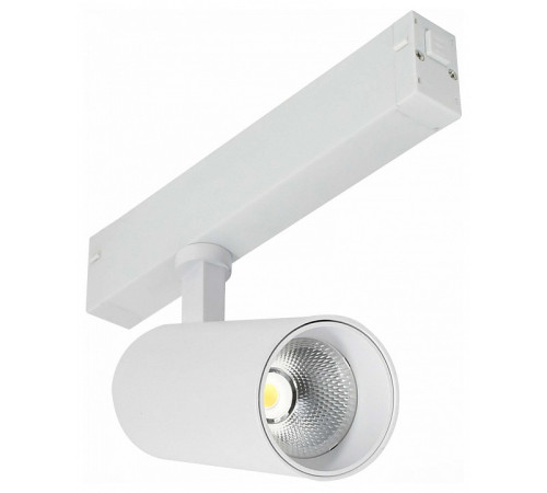 Светильник на штанге ST-Luce SKYLINE 220 ST660.536.20H