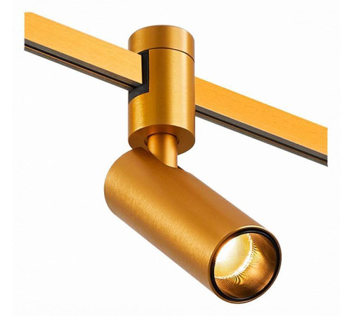 Светильник на штанге ST-Luce Farm ST811.206.05