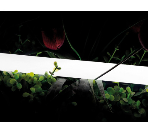 Лента светодиодная SWG PRO 00-00013283