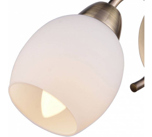 Бра TopLight Merry TL3780B-01AB