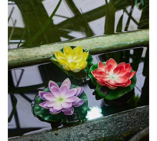 Растение Uniel WATERLILY UL-00011599