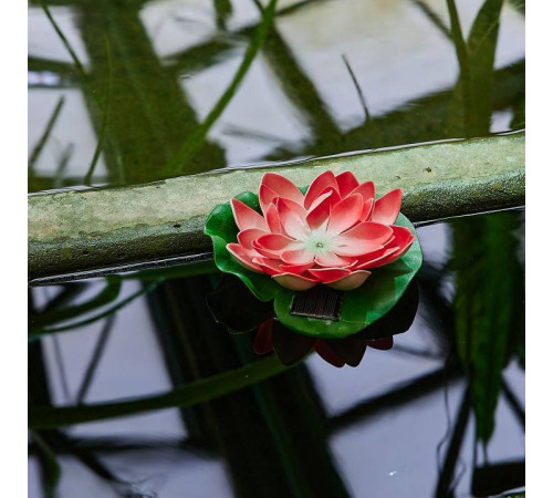 Растение Uniel WATERLILY UL-00011599