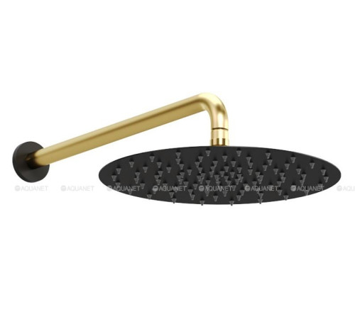 Верхний душ Allen Brau Priority Slim черный золото 5.31A17-31GB