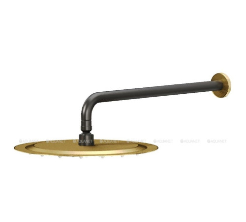 Верхний душ Allen Brau Priority Slim золото черный 5.31A17-GB31