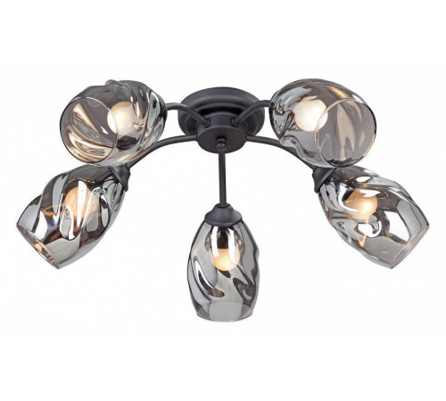 Потолочная люстра Vitaluce V4936-1/5PL